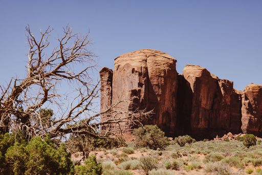 A striking view of Monument Valley's red rock formations under a clear blue sky with desert vegetation in the foreground.