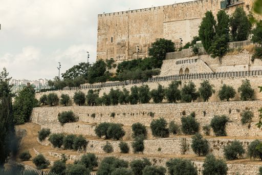 A scenic view of ancient terraced gardens with olive trees and stone walls near a historic building in Jerusalem, Israel.