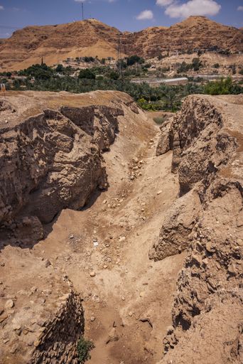 Archaeological excavation site in a desert landscape with mountains in the background under a clear blue sky.
