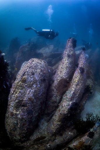 A vertical shot of a diver under the ocean