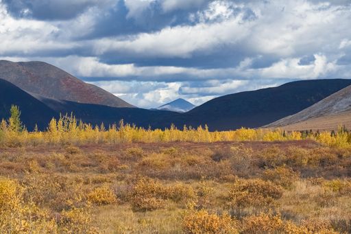 A vast landscape in Tombstone Park, Yukon, Canada, features a valley with yellow and brown foliage. Mountains rise in the distance under a cloudy sky.
