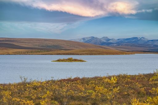 Tranquil lake in Tombstone Park, Yukon, Canada, reflects a cloudy sky. A small island sits in the lake, and rolling hills stretch to distant mountains