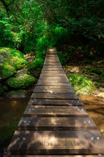 A wooden handmade passing footbridge over the river and surrounding landscapes in spring