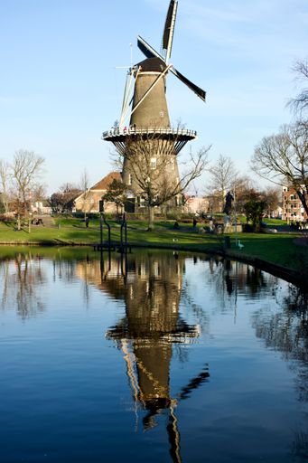 A traditional Dutch windmill reflected in a calm canal under a clear blue sky, surrounded by bare trees and green grass in a serene landscape.