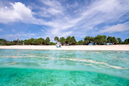 A serene beach scene with clear turquoise water and lush green trees under a bright blue sky.