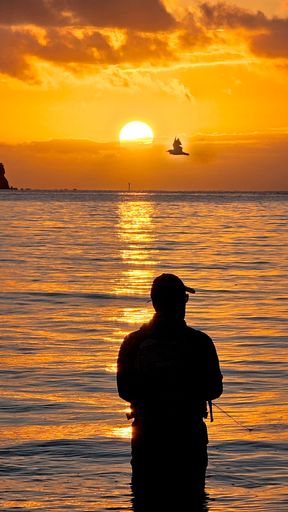 Silhouette of a person fishing at sunset with a bird flying above, reflecting on calm waters.