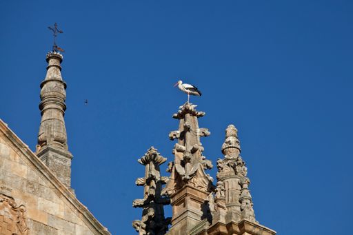 A low angle shot of a stork standing on the dome of the Cathedral in the city of Salamanca, Spain.