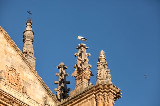 A stork standing against the sky on the dome of the Cathedral in the city of Salamanca, Spain