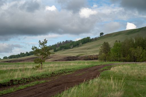 A spring landscape with a lonely mountain, a green valley with rare trees