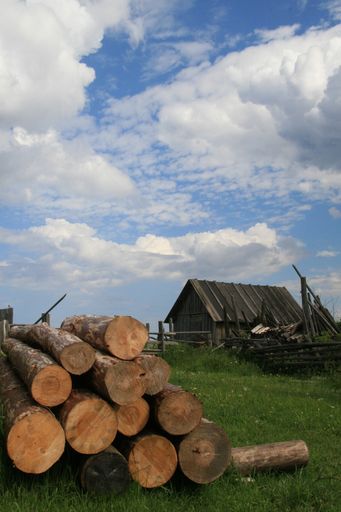 The logs for construction near a barn in a Russian village