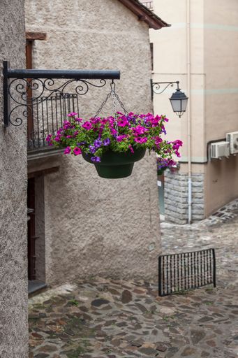 A vertical shot of beautiful flowers in front of a residential building