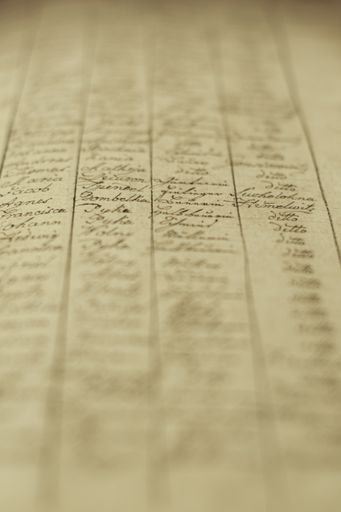 A vertical soft focus of an old book of local records with list of residents' names and information