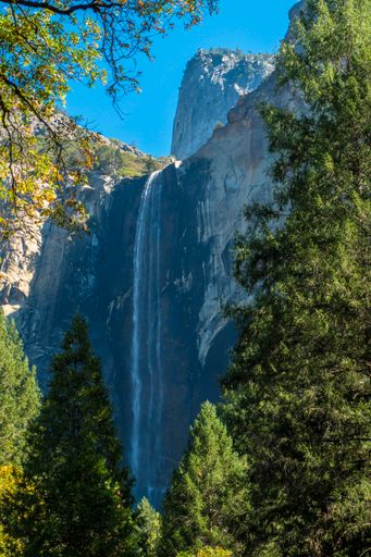 A vertical shot of the beautiful waterfall surrounded by green vegetation and rocks. Bridalveil Fall, USA.
