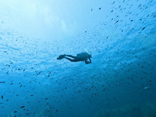 An adult diver swimming with the fish in the sea under the sunlight through the waves