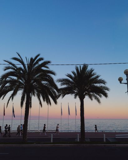 Silhouettes of people walking along a coastal promenade lined with palm trees at sunset, with a clear sky and calm sea.