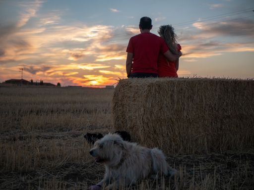 A back view of a romantic young couple with their dog looking at the sunset on a beach