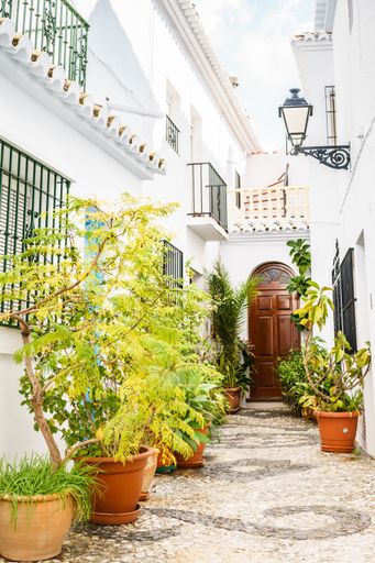 A vertical shot of a path with potted flowers in Andalusia, Spain