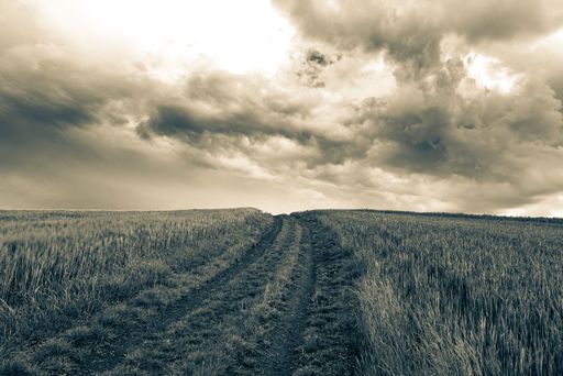 A dramatic rural landscape with a dirt path through a field under a cloudy sky, creating a moody atmosphere in sepia tones.