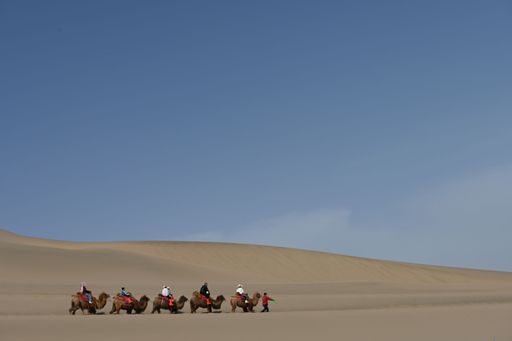 A group of people riding camels across the vast sand dunes under a clear blue sky, showcasing desert adventure and exploration.