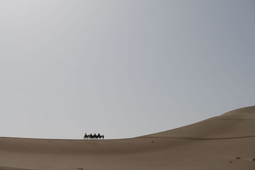 A group of camels with riders traverses a vast desert landscape under a clear blue sky.