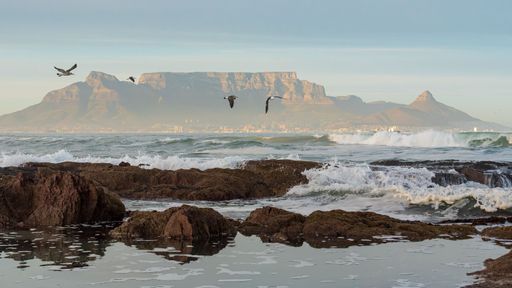 Scenic view of Table Mountain with birds flying over rocky shoreline and waves crashing, under a clear sky in Cape Town, South Africa.