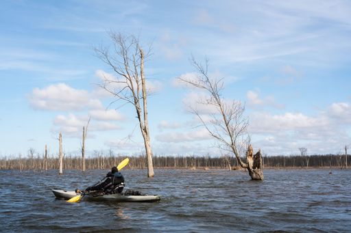 A person kayaking in a flooded forest area with barren trees under a clear blue sky.