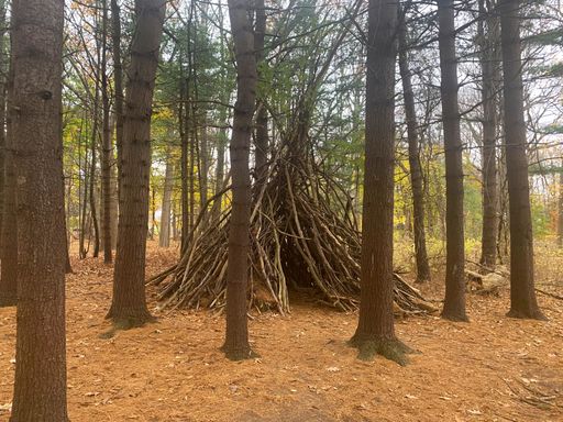 Teepee-shaped shelter made from tree branches in a forest setting