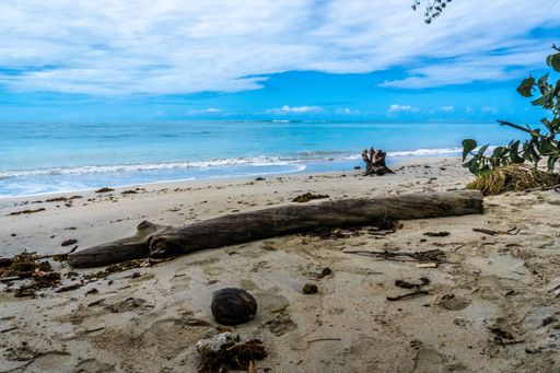 A beautiful view of the sandy beach from Costa Rica under the blue sky
