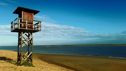 A lifeguard tower stands on a serene sandy beach under a clear blue sky with calm ocean waves.
