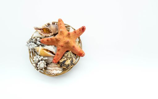A top view shot of a starfish in a basket on a white background