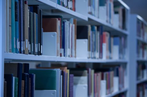 Many books on bookshelves in the library