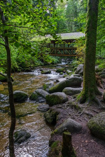 The Grobbach stream flowing in the Black Forest near Baden Baden, Germany