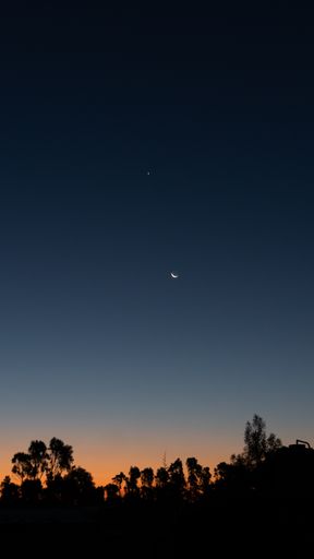 A silhouette of trees on the twilight
