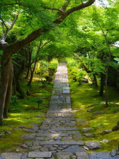 A vertical shot of a trail going up in a Japanese zen garden