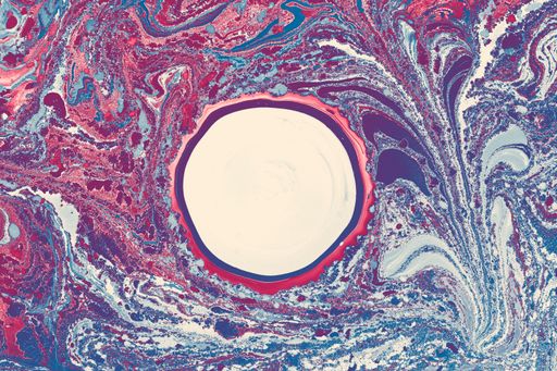 The abstract mixed multicolored texture with a white center