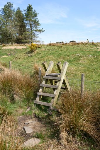 A frame stile over fence in the countryside field