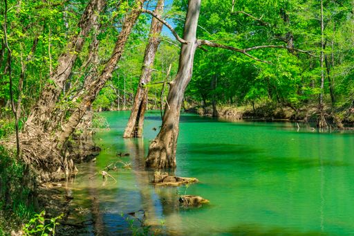 Scenic view of a lush green forest with trees reflecting in a tranquil river under a clear blue sky.