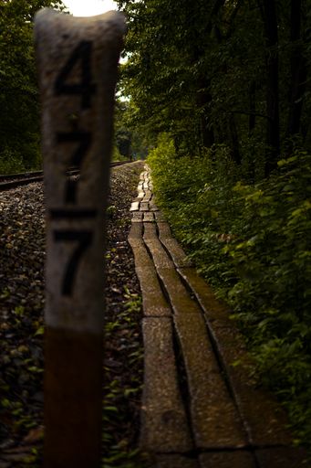 A vertical shot of a wooden platform at the side of an unpaved road with 477 digits on the post