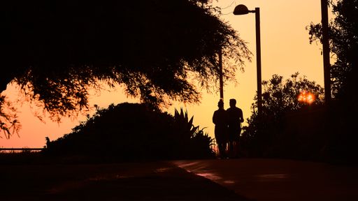 The silhouettes of a couple on the background of sunset.