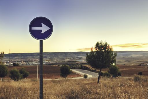 A blue round sign with an arrow on the road surrounded by the grass and trees under the sunlight