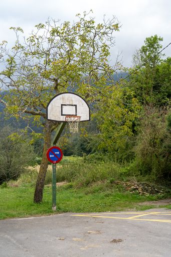 A vertical shot of a basketball hoop on the grass in front of a tree in the park