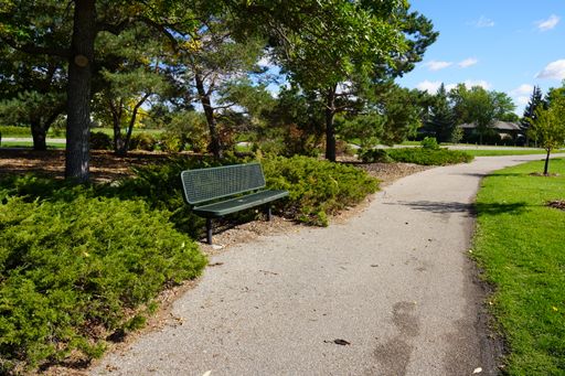 An empty bench in a park on a sunny day