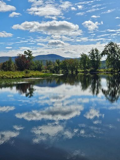 Scenic view of a serene lake reflecting the sky and clouds, surrounded by lush greenery and distant mountains under a bright blue sky.