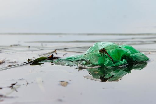 A dragonfly perched on a green plastic bag floating on a water surface, highlighting environmental pollution.