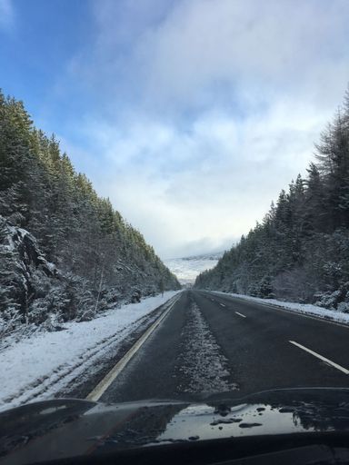 A vertical shot of a car driving through a road surrounded by trees covered in the snow