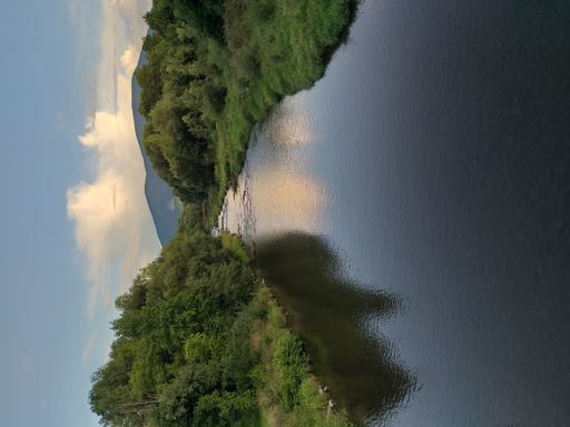 A vertical shot of a river surrounded by greenery under the sunlight in the countryside