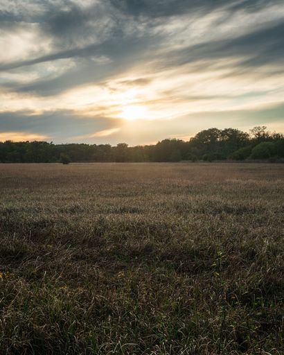 A serene landscape of a grassy field under a dramatic sunset sky, capturing nature's beauty and tranquility.