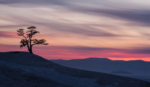 A tree on hills under a cloudy sky during the sunset with long exposure - great for aesthetic wallpapers