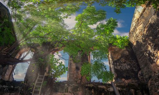 A low angle shot of trees and building ruins under a cloudy sky