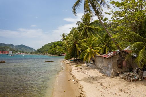 A beautiful shot of a small house near the shore of the sea surrounded by palm trees in Indonesia